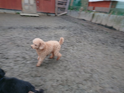 f:id:roukenhome-ann:20190215200747j:plain