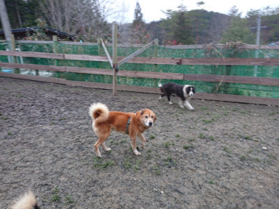 f:id:roukenhome-ann:20190215201830j:plain