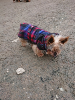 f:id:roukenhome-ann:20190215201836j:plain