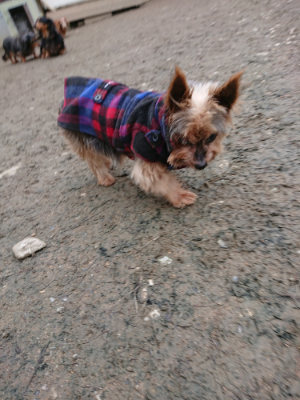 f:id:roukenhome-ann:20190215201844j:plain