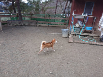 f:id:roukenhome-ann:20190215201859j:plain
