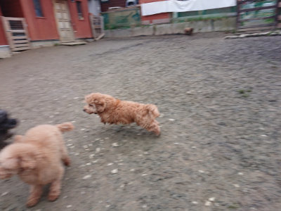 f:id:roukenhome-ann:20190215201906j:plain