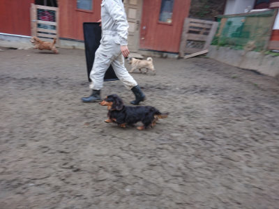 f:id:roukenhome-ann:20190215201912j:plain