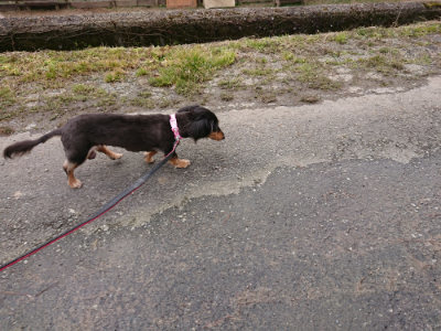 f:id:roukenhome-ann:20190215201929j:plain