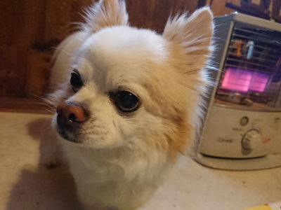 f:id:roukenhome-ann:20190215201953j:plain