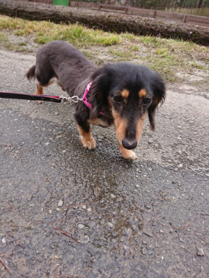 f:id:roukenhome-ann:20190215201958j:plain