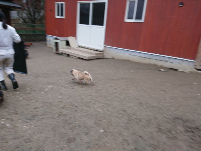 f:id:roukenhome-ann:20190215202011j:plain