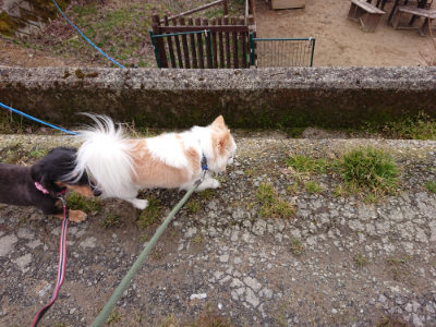 f:id:roukenhome-ann:20190215202017j:plain