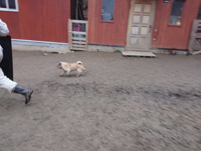 f:id:roukenhome-ann:20190215202028j:plain