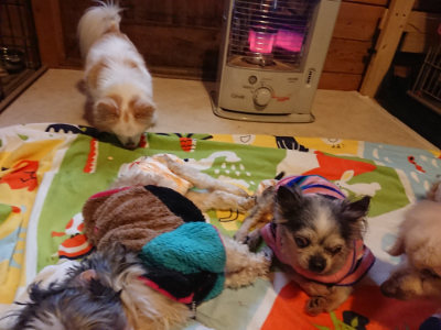 f:id:roukenhome-ann:20190215202040j:plain
