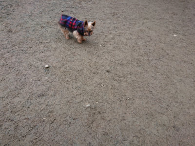 f:id:roukenhome-ann:20190215202050j:plain