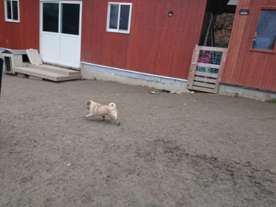 f:id:roukenhome-ann:20190215202055j:plain
