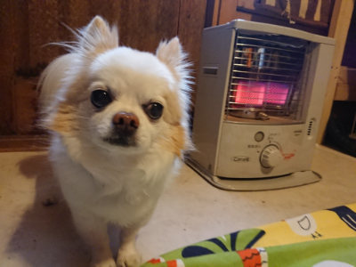 f:id:roukenhome-ann:20190215202100j:plain