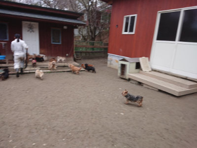 f:id:roukenhome-ann:20190215202120j:plain