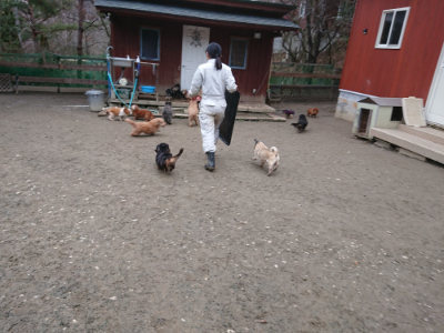 f:id:roukenhome-ann:20190215202138j:plain