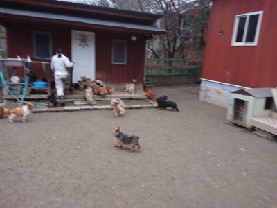f:id:roukenhome-ann:20190215202147j:plain
