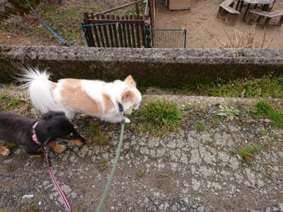 f:id:roukenhome-ann:20190215202153j:plain