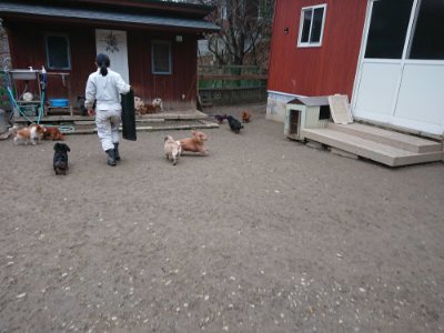 f:id:roukenhome-ann:20190215202205j:plain