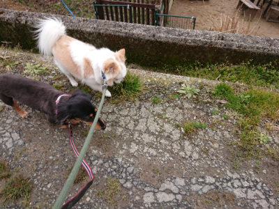 f:id:roukenhome-ann:20190215202211j:plain
