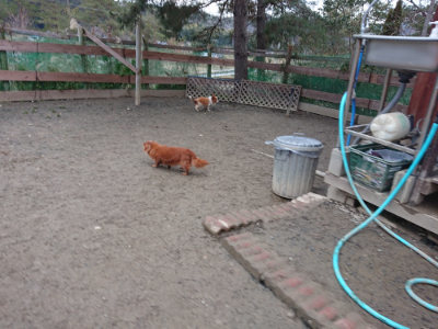 f:id:roukenhome-ann:20190215203056j:plain