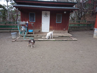 f:id:roukenhome-ann:20190215203101j:plain