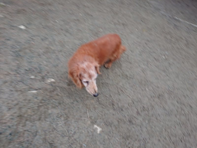f:id:roukenhome-ann:20190215203120j:plain