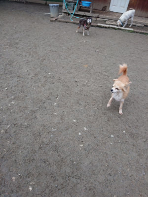 f:id:roukenhome-ann:20190215203130j:plain