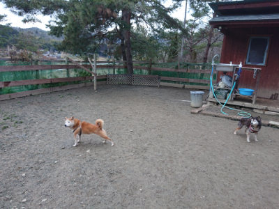 f:id:roukenhome-ann:20190215203137j:plain