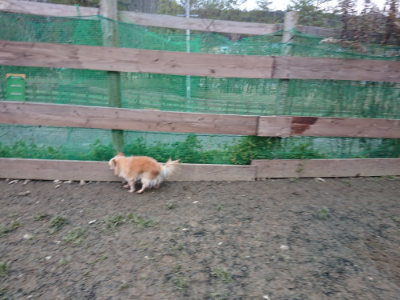f:id:roukenhome-ann:20190215203155j:plain