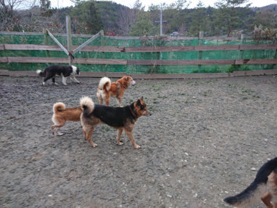 f:id:roukenhome-ann:20190215203249j:plain