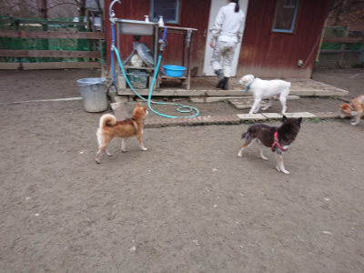 f:id:roukenhome-ann:20190215203319j:plain