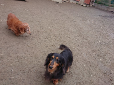 f:id:roukenhome-ann:20190215203332j:plain