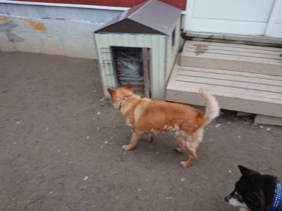 f:id:roukenhome-ann:20190215203344j:plain