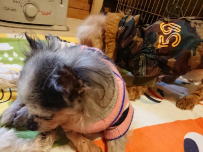 f:id:roukenhome-ann:20190215203355j:plain