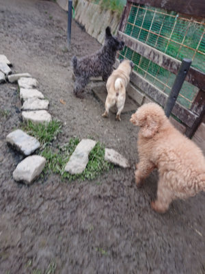 f:id:roukenhome-ann:20190215203407j:plain