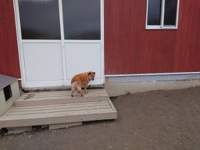 f:id:roukenhome-ann:20190215203429j:plain