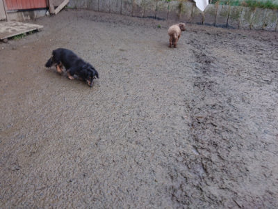 f:id:roukenhome-ann:20190217053321j:plain