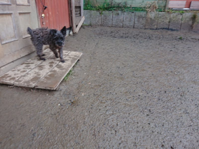 f:id:roukenhome-ann:20190217053413j:plain