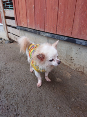 f:id:roukenhome-ann:20190217053448j:plain