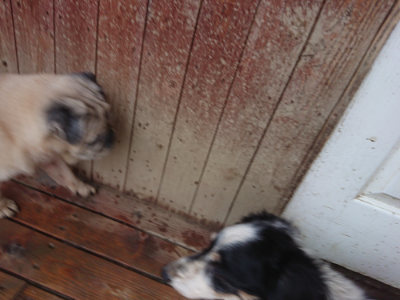f:id:roukenhome-ann:20190217053500j:plain