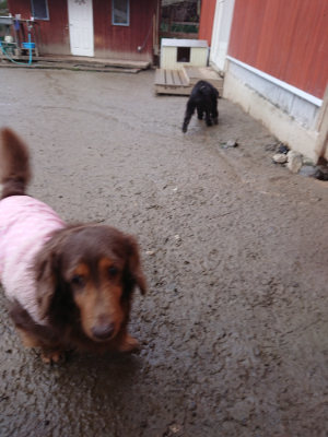 f:id:roukenhome-ann:20190217053533j:plain