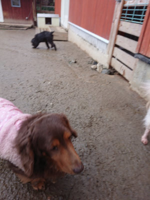f:id:roukenhome-ann:20190217053540j:plain
