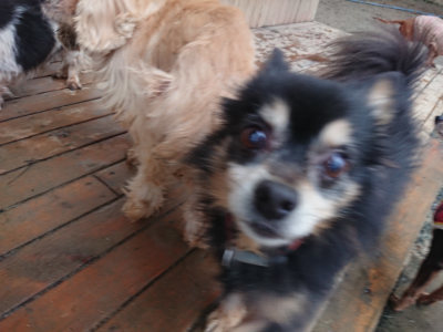f:id:roukenhome-ann:20190217053558j:plain