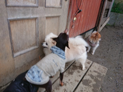 f:id:roukenhome-ann:20190217053644j:plain