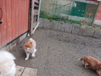 f:id:roukenhome-ann:20190217053651j:plain