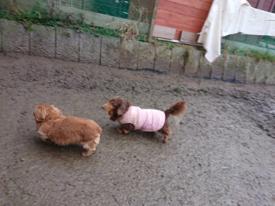 f:id:roukenhome-ann:20190217053717j:plain