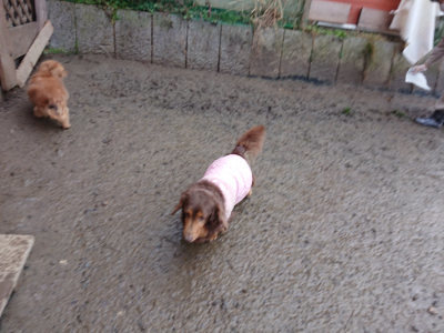 f:id:roukenhome-ann:20190217053722j:plain