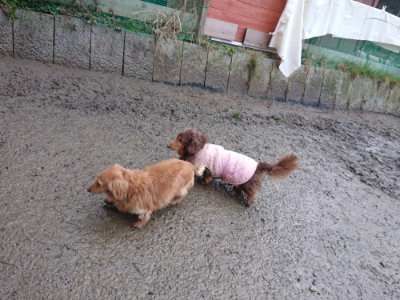 f:id:roukenhome-ann:20190217053748j:plain