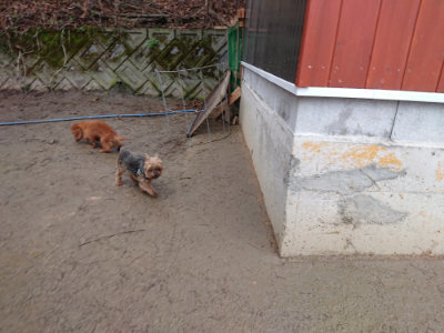 f:id:roukenhome-ann:20190217080718j:plain