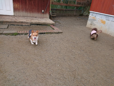 f:id:roukenhome-ann:20190217080728j:plain